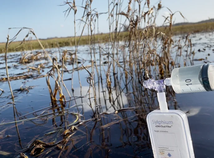 screenshot of eDNA dual filter capsule held over river flooded tall grass